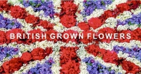 British Flowers!