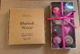 Bluebell wood gift set