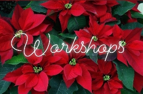 Workshops