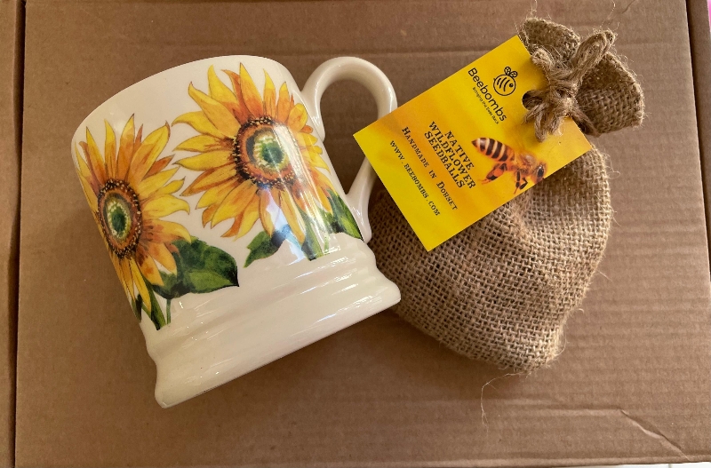 Emma Bridgewater Sunflower mug and bee bomb gift set buy online or