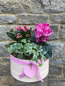 Pretty Planter