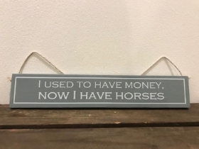 I USED TO HAVE MONEY NOW I HAVE HORSES