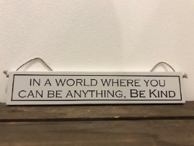 IN A WORLD WHERE YOU CAN BE ANYTHING, BE KIND